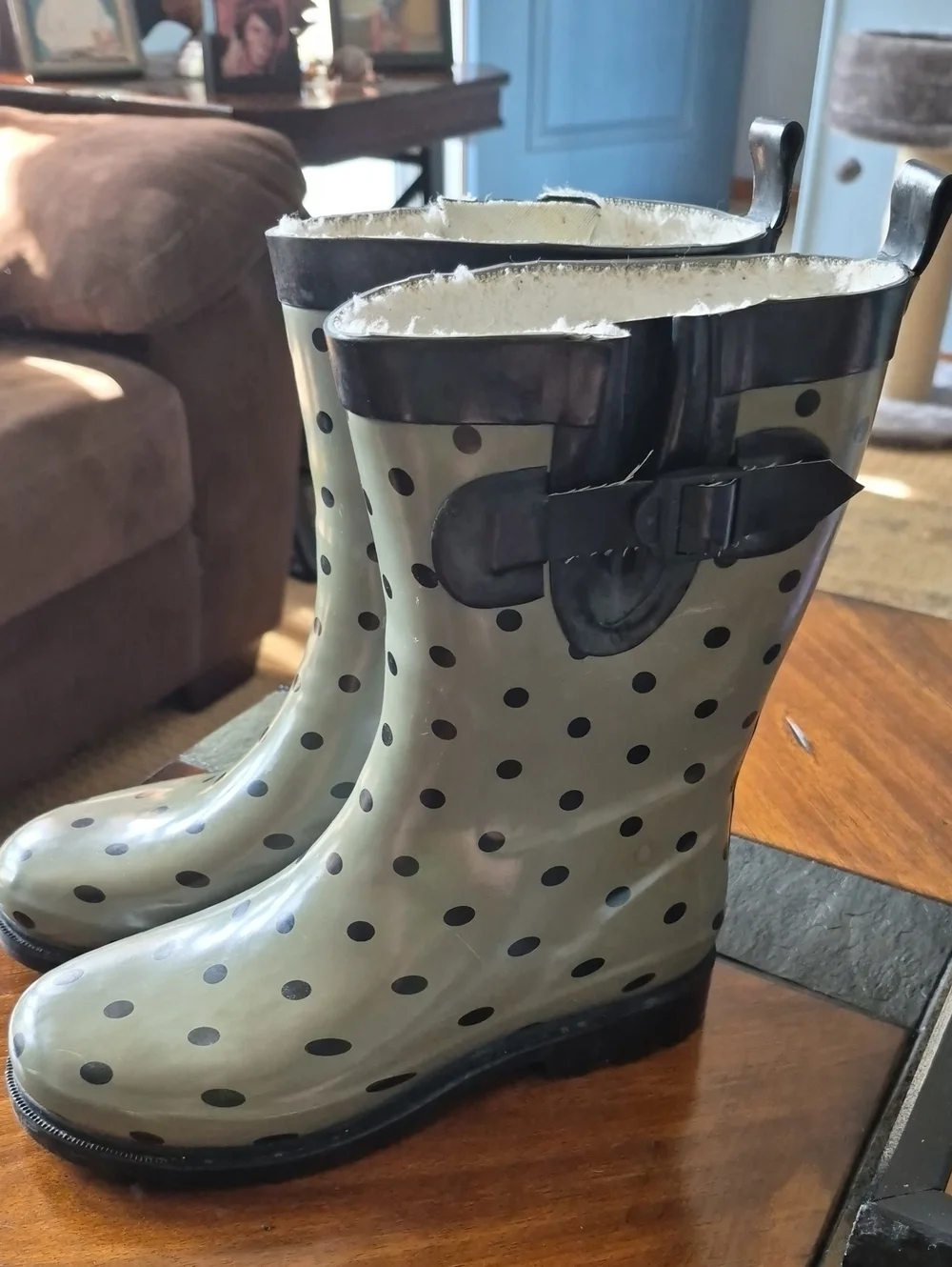 Capelli Green Polka Dot Rain Boots with Black Trim Size 7